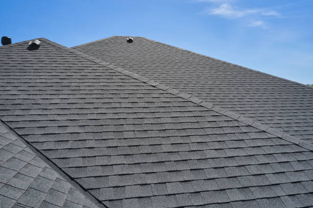 Best Roof Leak Repair  in Vista Center, NJ